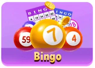 Bingo